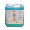 LIMPIAVIDRIOS PROFESIONAL 5 LT GL-655