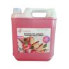 DESODORANTE AMBIENTAL MANZANA CANELA 5 LT GL-820 MC